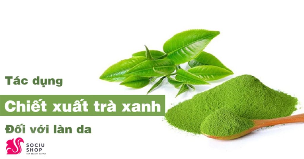 Tác dụng của chiết xuất trà xanh đối với làn da